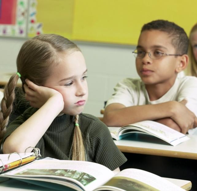 Working with Schools