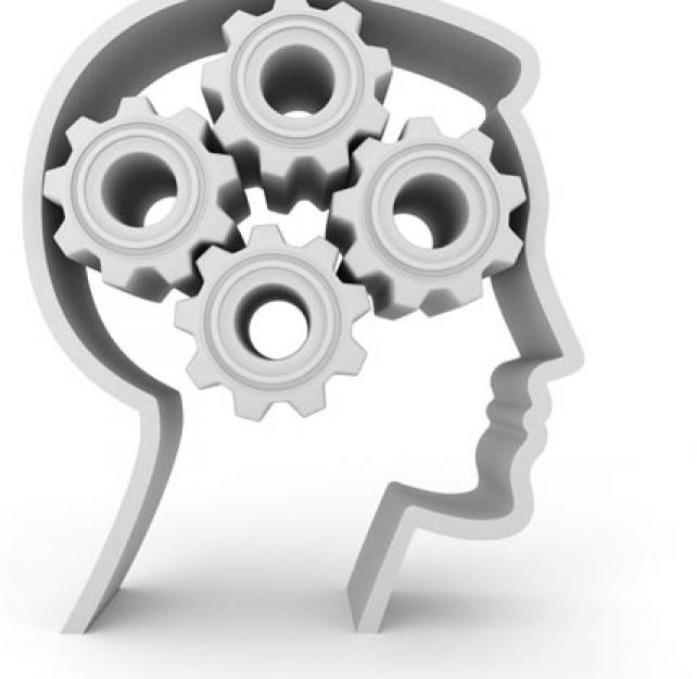 Brain Injury Dialogues: Rehabilitation