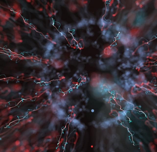 Dr. Ann McKee: Blast Injury and CTE