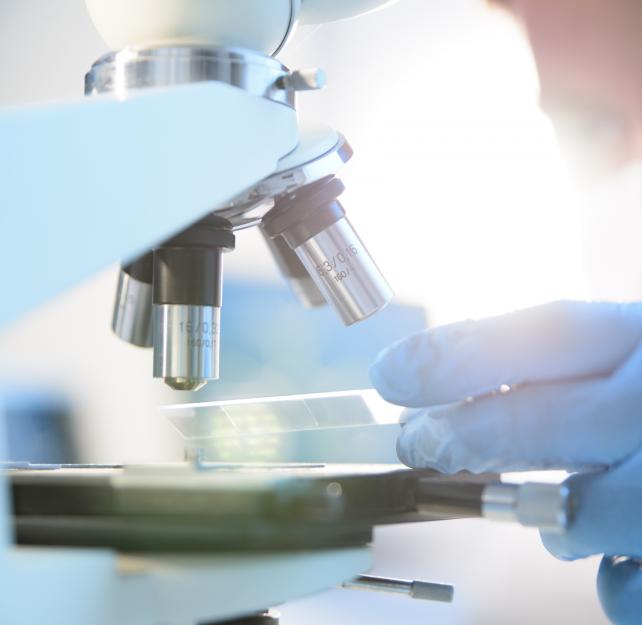 Dr. Ann McKee: Do Better Science to Silence Critics Dr. Ann McKee: Do Better Science to Silence Critics