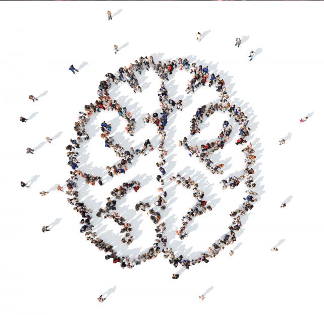 Dr. Ann McKee: Donate Your Brain: Project Enlist Dr. Ann McKee: Donate Your Brain: Project Enlist