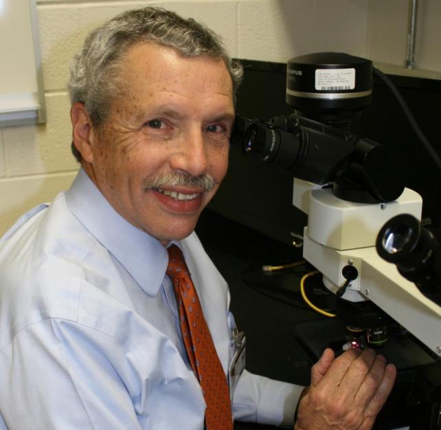 Dr. Perl: How I Came to the Military