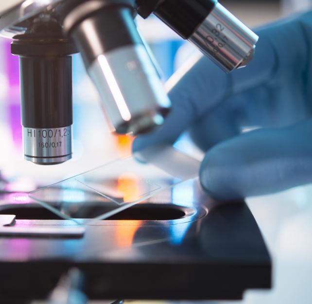 How We Study the Brain