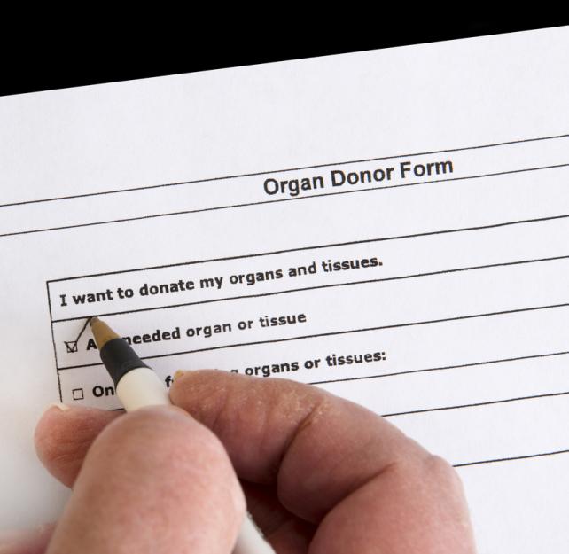 Why We Need People to Donate Their Brains