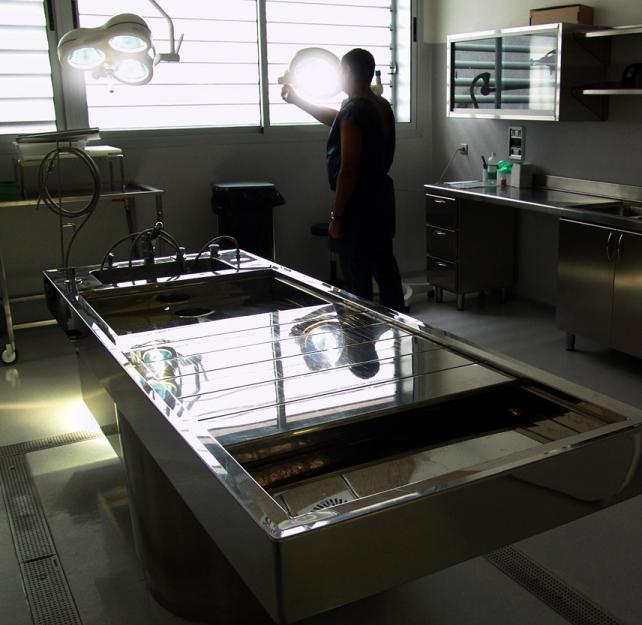 Why Autopsies Matter